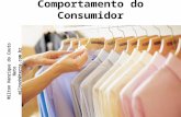 Comportamento do consumidor 2010_01