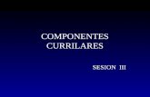 S top componentes curricular