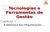 Tecnologia de Gestão aula 1 -2013