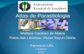 Atlas de Parasitologia.pdf