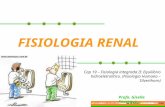 Fisiologia Renal I (EF - Maio 09)
