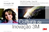 "Cultura de Inovação 3M - Colaboração e Desenvolvimento Contínuo para o Crescimento das Organizações" - Luiz Serafim - 3M
