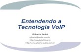 Entendendo A Tecnologia VoIP