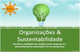 Organizações e Sustentabilidade 1