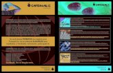 CARDINALIS Presentation Folder