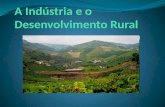 Indústria e desenvolvimento rural 11 4