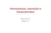 Aula VI -Homeostase, excreção e homeotermia.pptx
