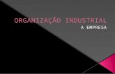 Organização Industrial