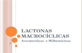 LACTONAS MACROCÍCLICAS