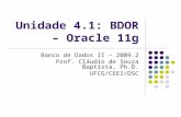 Unidade4.1 Oracle Or