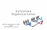 Estrutura organizacional 2012_01