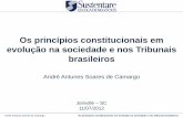 Palestra   os princípios constitucionais em evolução na sociedade e nos tribunais brasileiros - 11.07.2012