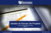 Gestão do Escopo de Projetos - Prof. Luis Augusto dos Santos