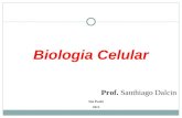 Aula   biologia celular