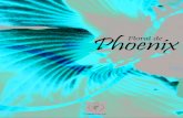 Floral de Phoenix