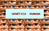 Gen©tica Humana