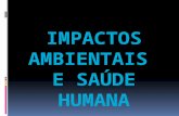 Impactos Ambientais e Saúde Humana