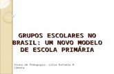 Grupos escolares no brasil