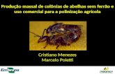 Apresentação Cristiano Menezes - Criação massal de polinizadores
