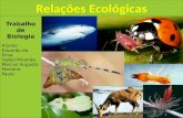 Biologia Relações Ecologicas