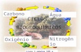 Ciclos biogeoquímicos