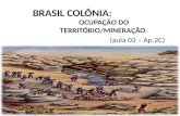 3° ano  - Brasil colônia - aula 3 e 4 - apostila 1 c