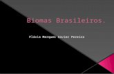 Biomas brasileiros flavia marques