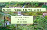 Visita estudo do 8º4 ao Jardim Tropical do Monte Palace