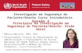 Princípios da Investigação em Segurança do Paciente/Doente: Visão Geral