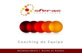 Desenvolvimento sferas   coaching de equipe - 2014