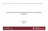 Evolução das Aplicações de TIC no Setor Público Brasileiro