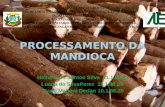 Processamento industrial e produtos da mandioca