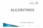 Lógica de Programção - Módulo 1 - algoritmos-introdução