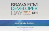 Brava developer day 2011