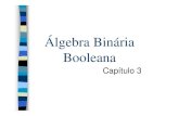 ICC-05 Álgebra Booleana