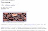 Chocolate – wikipédia, a enciclopédia livre