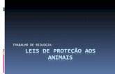 Leis de proteção aos animais