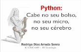 Python: Cabe no seu bolso, no seu micro, no seu cérebro.
