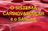 Sistema cardiovascular e o sangue