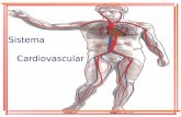 Sistema Cardiovascular ou Circulatório