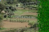 AGRICULTURA BIOLÓGICA