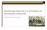 Revoluçao Agricola e Revolução Industrial