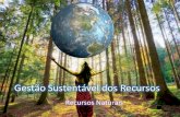 Gestão Sustentável dos Recursos