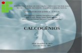 Apresentação Calcogênios - Grupo 16