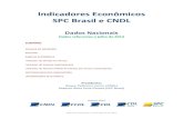Indicadores econômicos SPC Brasil | Julho 2014