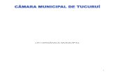 Lei Organica Do Municipio De Tucurui