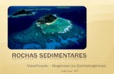 Rochas sedimentares  classificação biogénicas