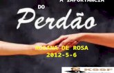 2012-5-6-Palestra-A Importância do Perdão-Rosana De Rosa