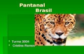 Pantanal 3004