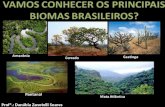BIOMAS BRASILEIROS (AMAZÔNICO E CERRADO)